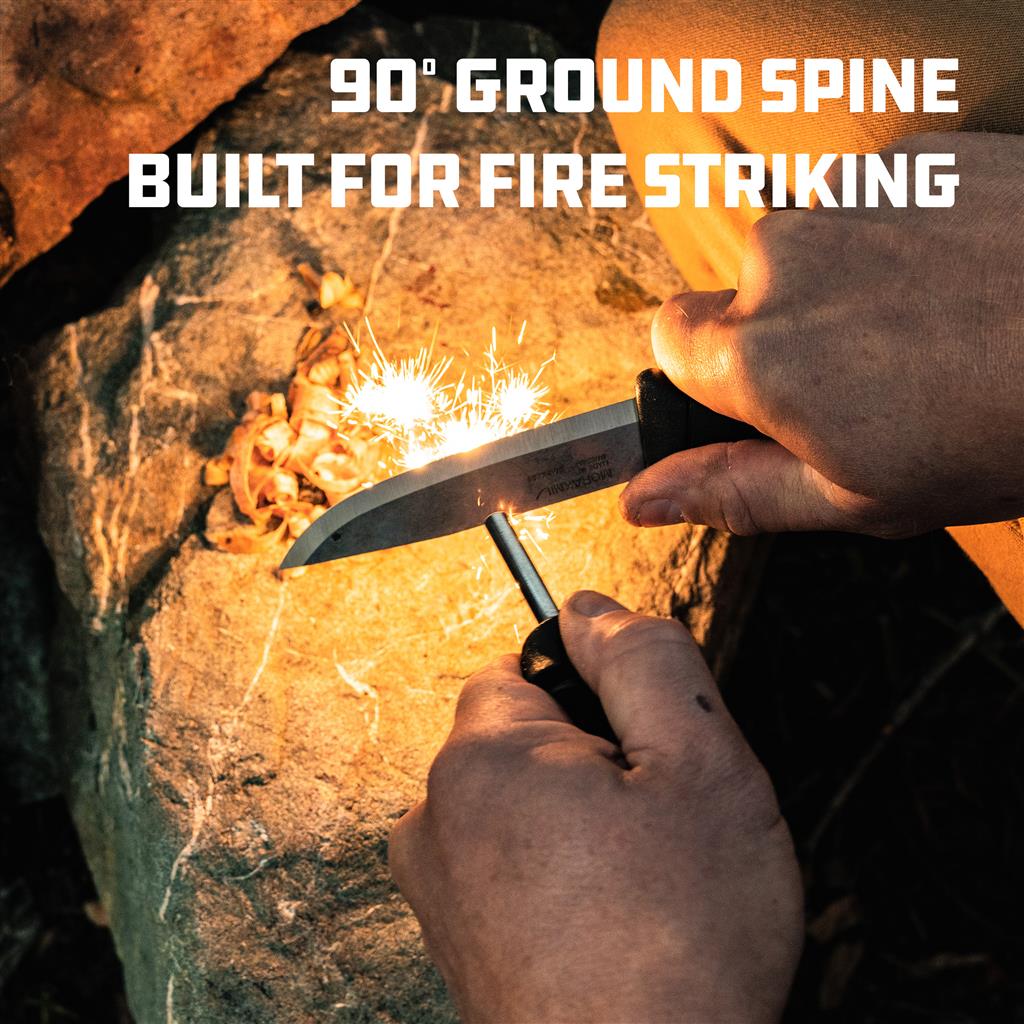 COMPANION SPARK (S) - Image 4